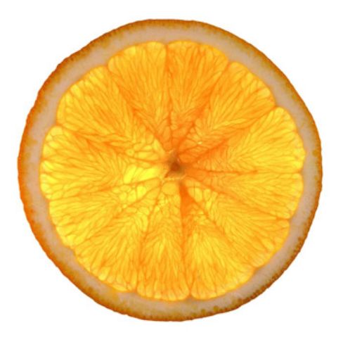 Zitronenscheibe
